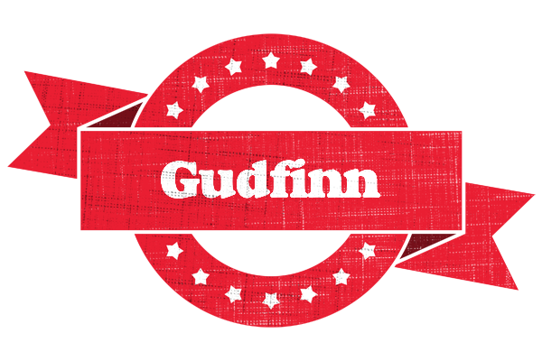 Gudfinn passion logo