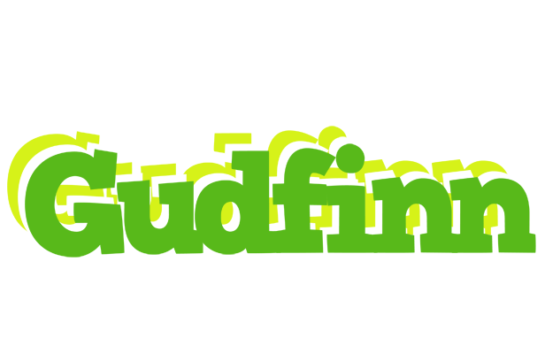 Gudfinn picnic logo