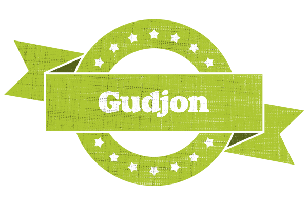 Gudjon change logo