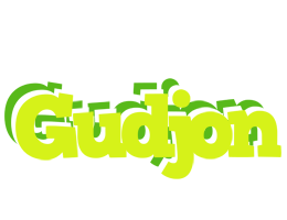 Gudjon citrus logo