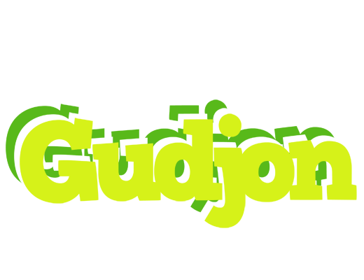 Gudjon citrus logo