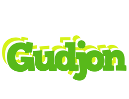 Gudjon picnic logo