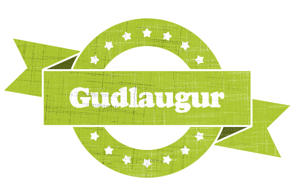 Gudlaugur change logo