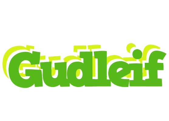 Gudleif picnic logo