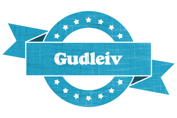 Gudleiv balance logo