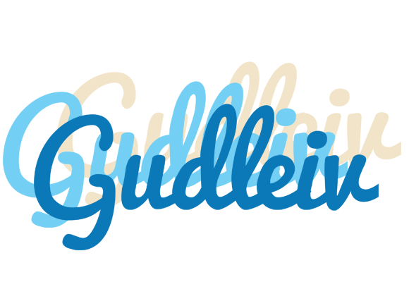 Gudleiv breeze logo
