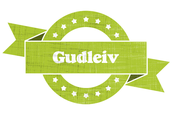 Gudleiv change logo
