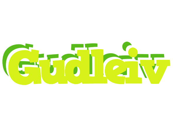 Gudleiv citrus logo