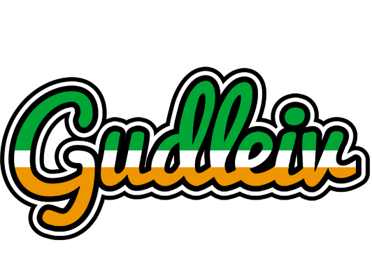 Gudleiv ireland logo