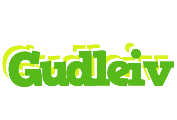 Gudleiv picnic logo