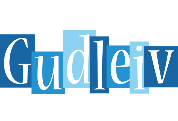 Gudleiv winter logo
