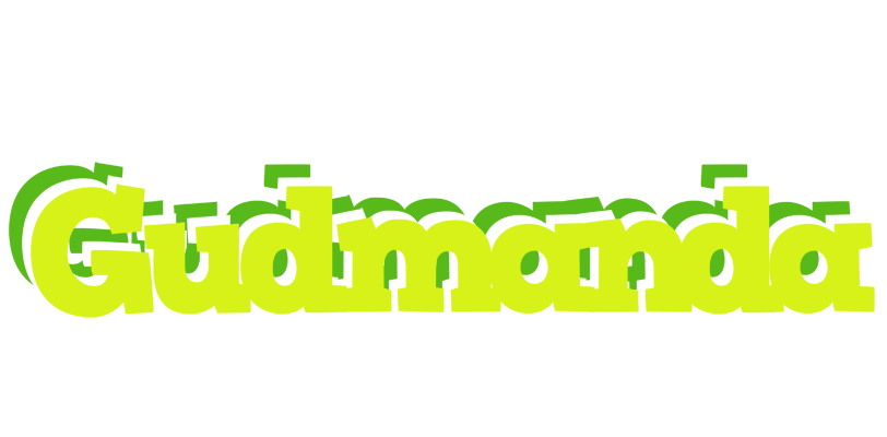 Gudmanda citrus logo