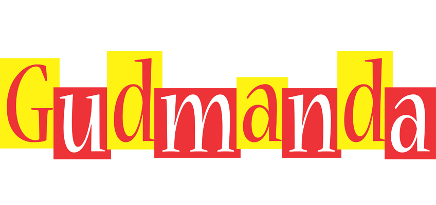 Gudmanda errors logo