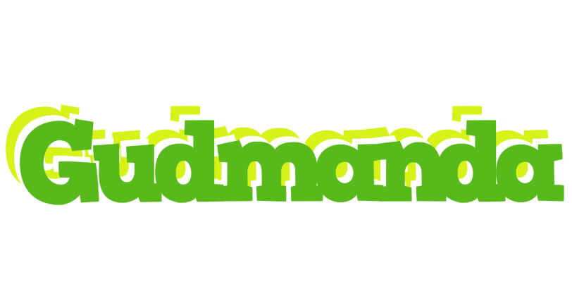 Gudmanda picnic logo