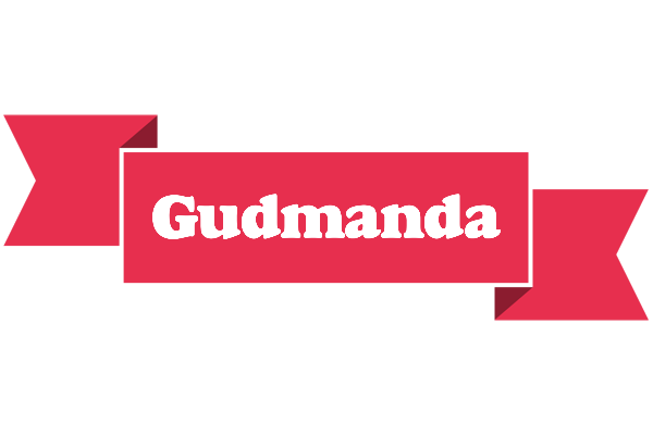 Gudmanda sale logo