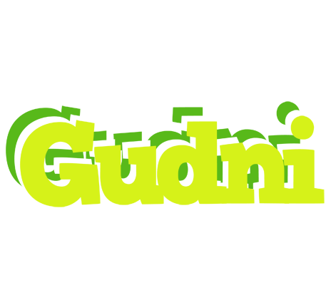 Gudni citrus logo