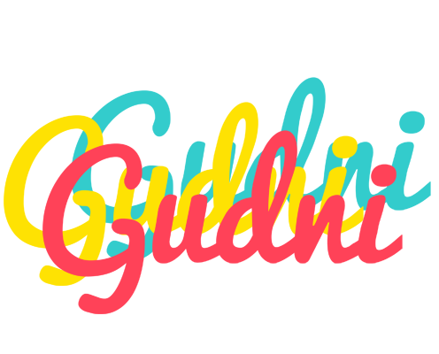 Gudni disco logo
