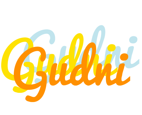 Gudni energy logo