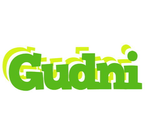Gudni picnic logo