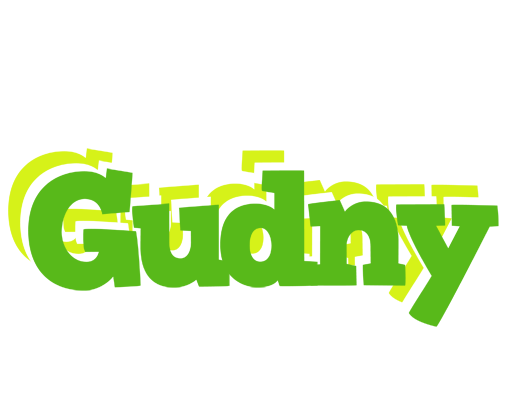 Gudny picnic logo