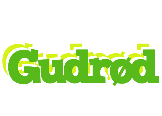 Gudrød picnic logo