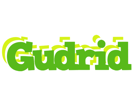 Gudrid picnic logo