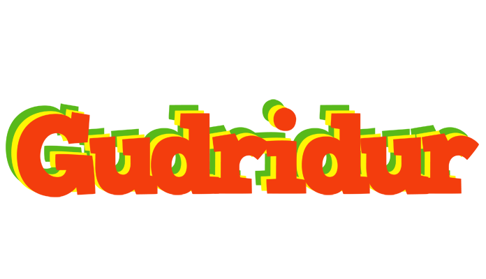 Gudridur bbq logo