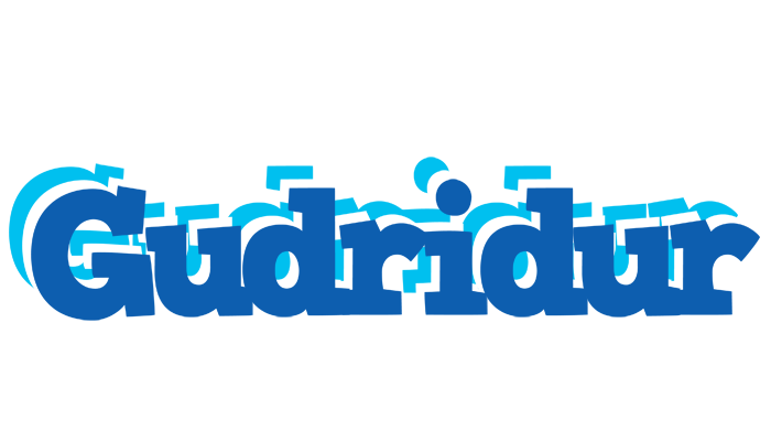 Gudridur business logo