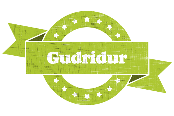 Gudridur change logo
