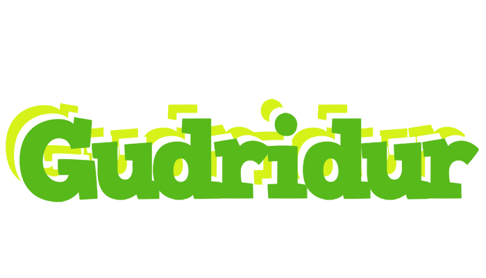 Gudridur picnic logo