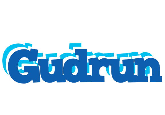 Gudrun business logo