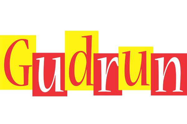 Gudrun errors logo