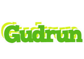 Gudrun picnic logo