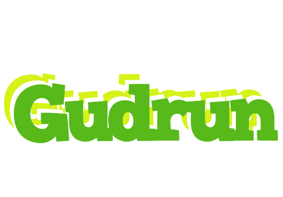 Gudrun picnic logo