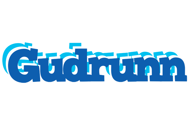 Gudrunn business logo