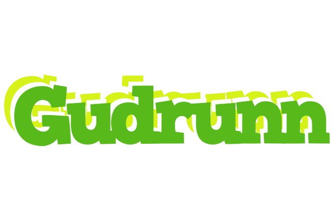 Gudrunn picnic logo