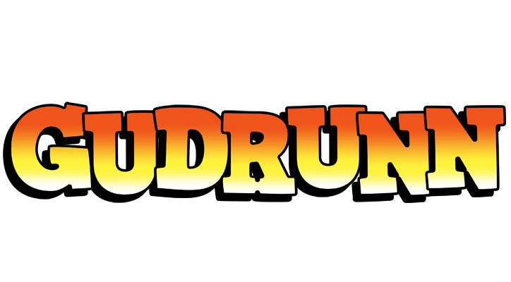 Gudrunn sunset logo