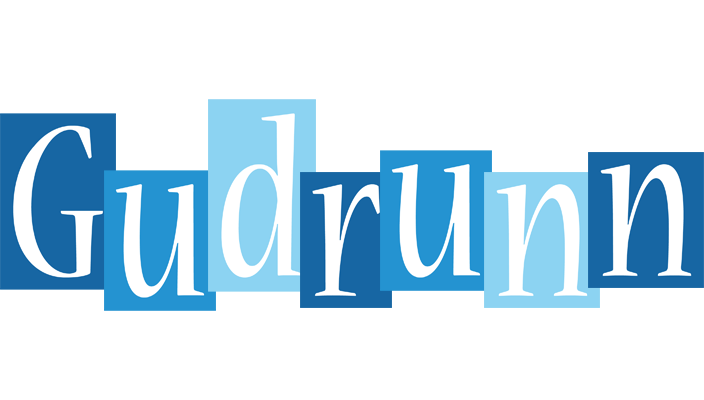Gudrunn winter logo