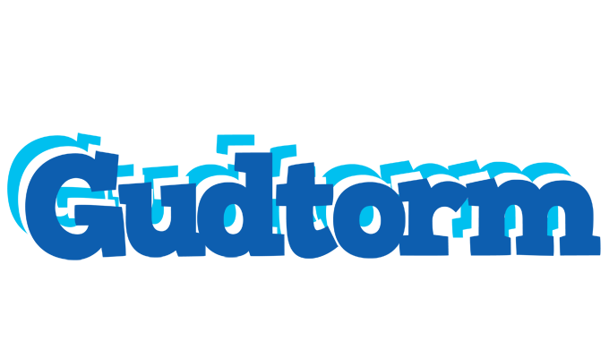 Gudtorm business logo