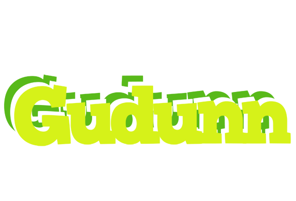 Gudunn citrus logo