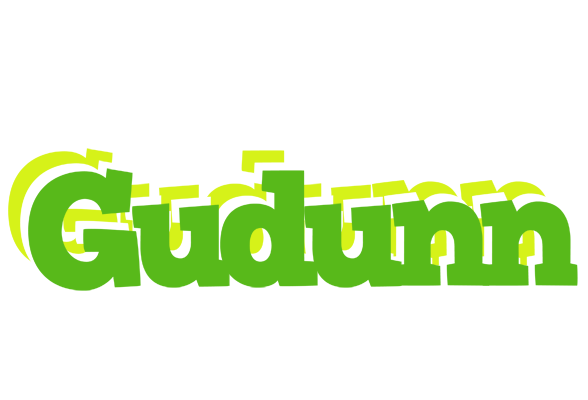 Gudunn picnic logo