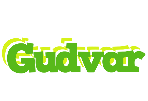 Gudvar picnic logo