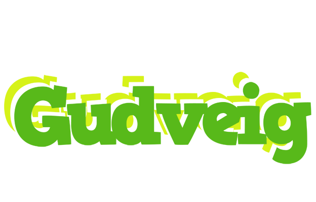 Gudveig picnic logo
