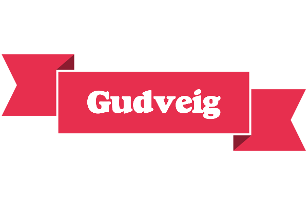Gudveig sale logo