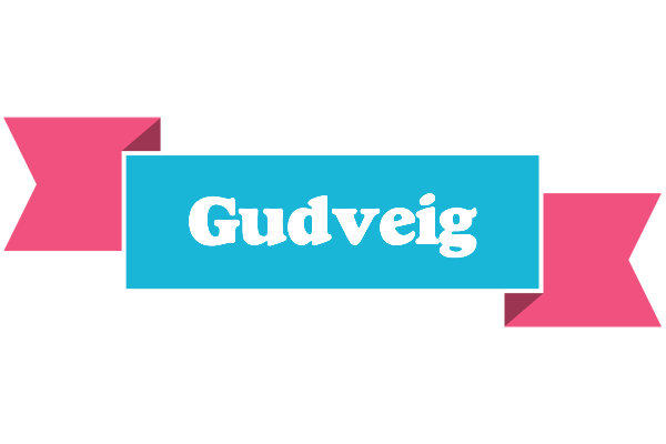 Gudveig today logo