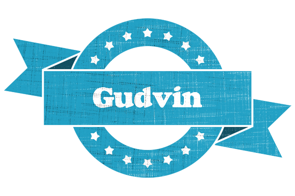 Gudvin balance logo