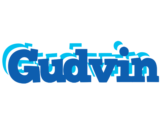 Gudvin business logo