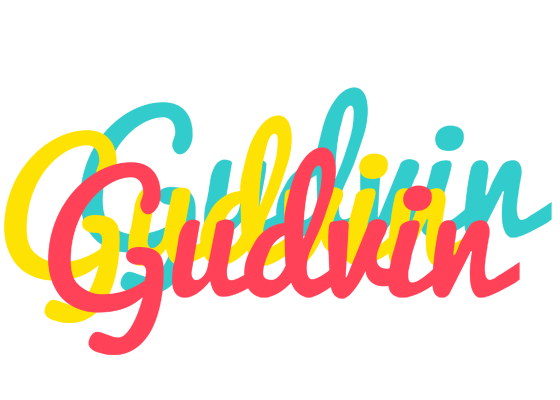 Gudvin disco logo