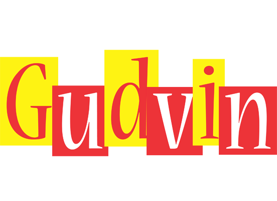 Gudvin errors logo