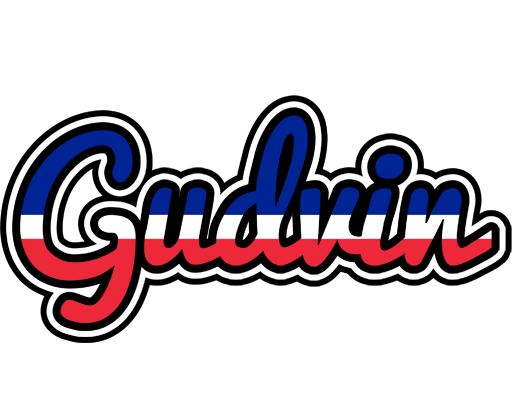 Gudvin france logo